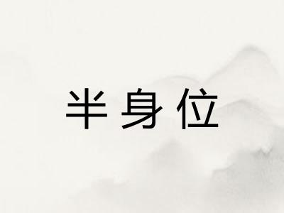 半身位