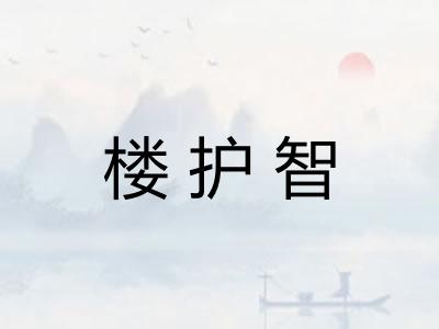 楼护智