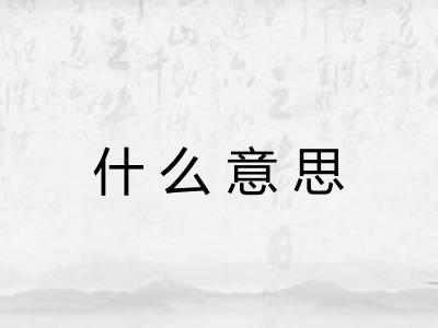 什么意思