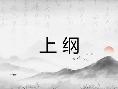 上纲