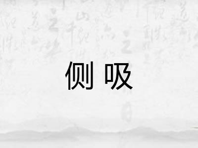 侧吸