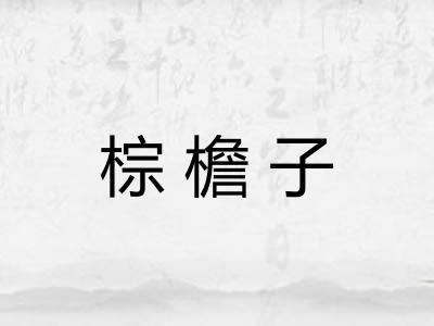 棕檐子