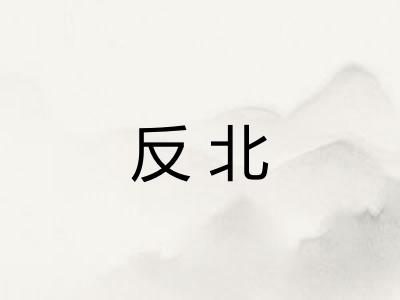 反北