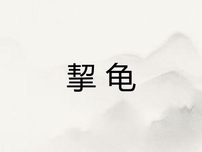 挈龟