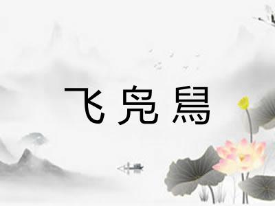 飞凫舃