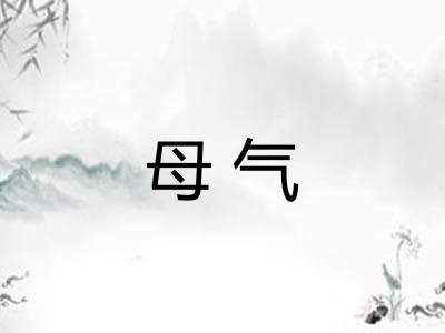 母气