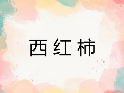 西红柿