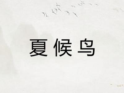 夏候鸟