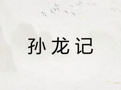 孙龙记