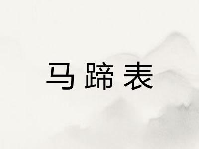 马蹄表