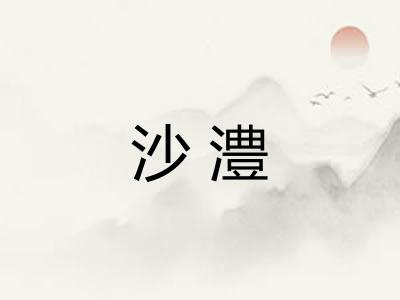 沙澧