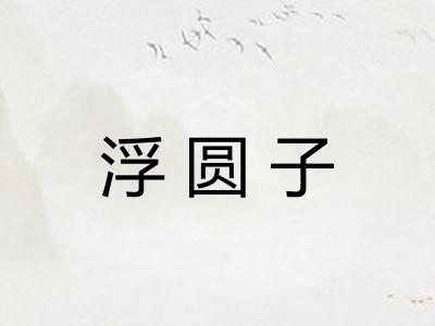 浮圆子