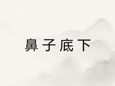 鼻子底下