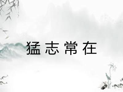 猛志常在