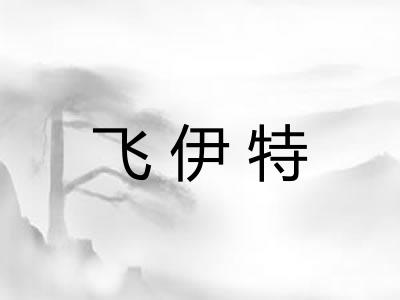 飞伊特