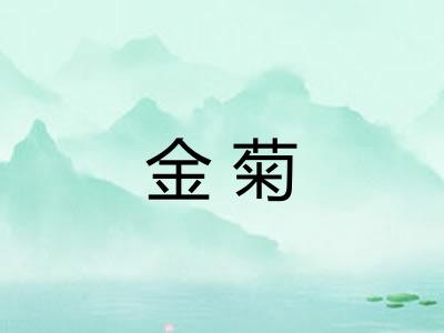 金菊