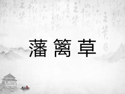 藩篱草