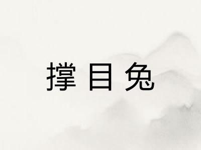 撑目兔