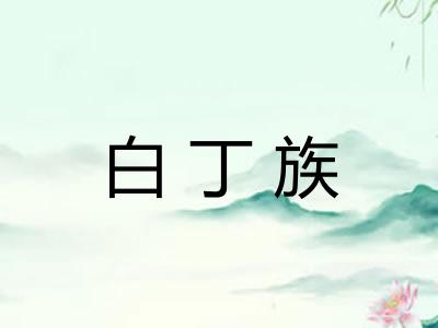 白丁族