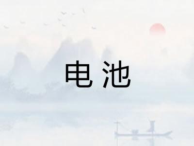 电池