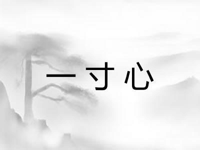 一寸心