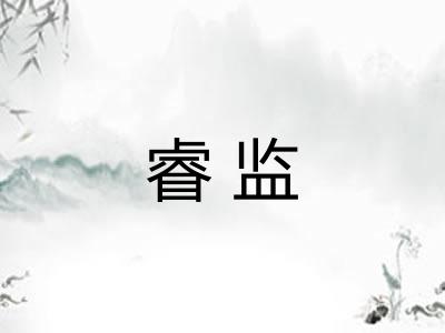 睿监