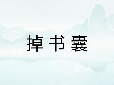掉书囊