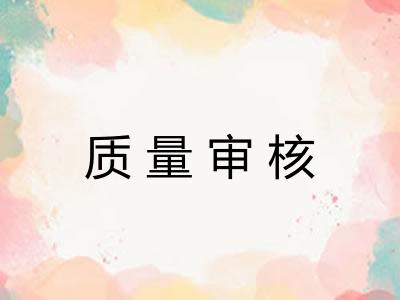 质量审核