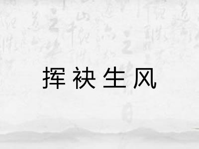 挥袂生风