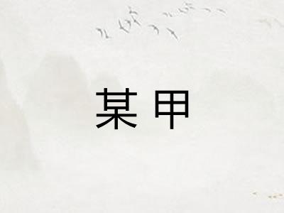某甲