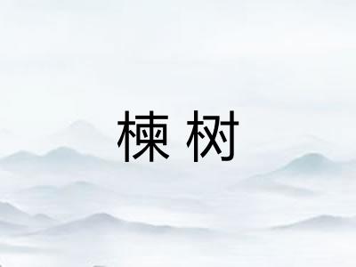 楝树