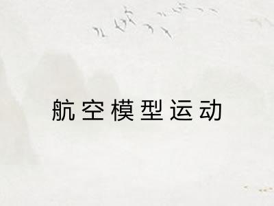 航空模型运动