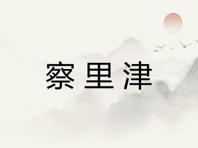 察里津