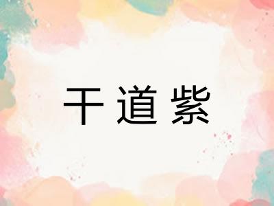 干道紫