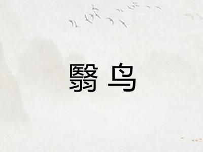 翳鸟