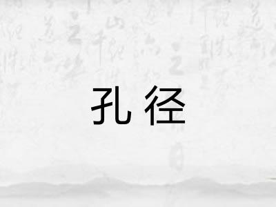 孔径