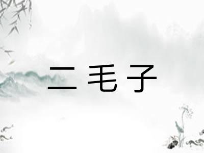 二毛子