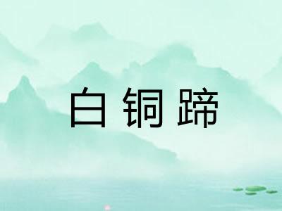 白铜蹄