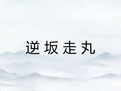 逆坂走丸