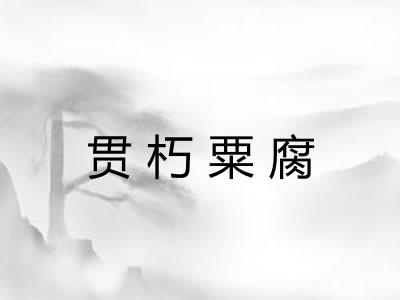 贯朽粟腐