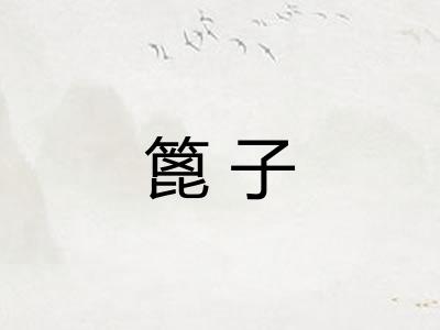 篦子