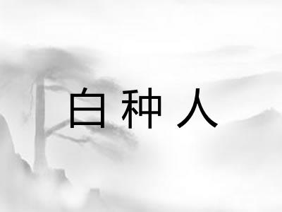 白种人