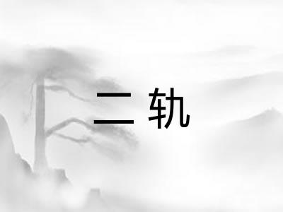 二轨