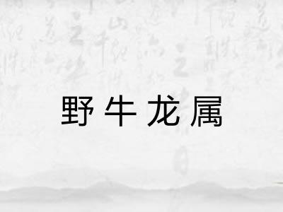 野牛龙属