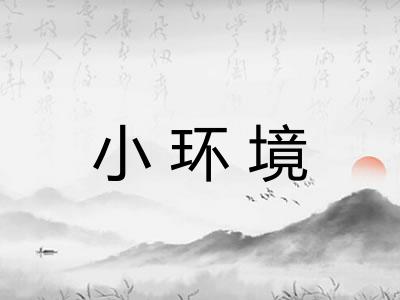 小环境