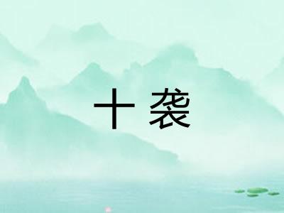 十袭
