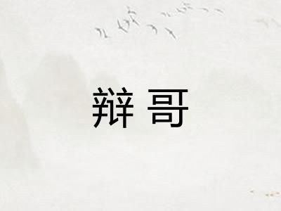辩哥