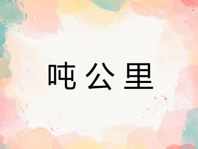 吨公里