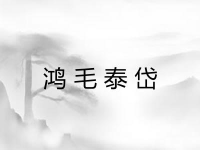 鸿毛泰岱