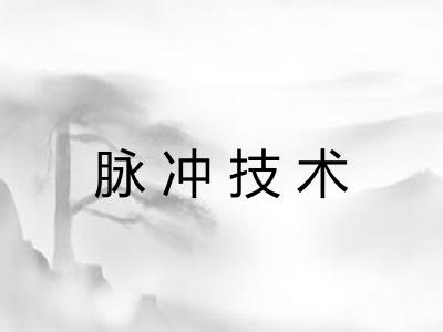 脉冲技术